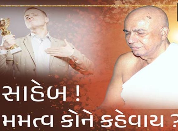 મમત્વ કોને કહેવાય ?