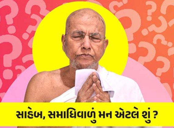 સમાધિ વાળું મન એટલે શું?